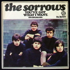SORROWS You've Got What I Want / No No No No No (Piccadilly 35277) UK 1965 PS 45